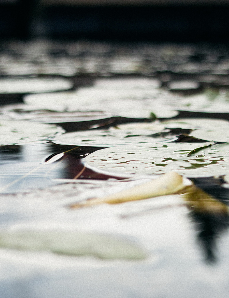 Wasser in Balance