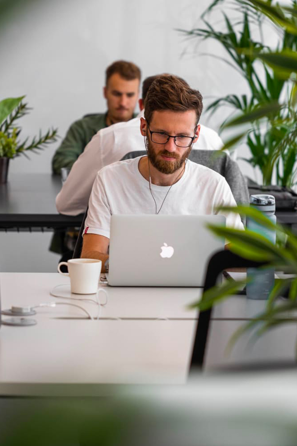 Grün im Büro